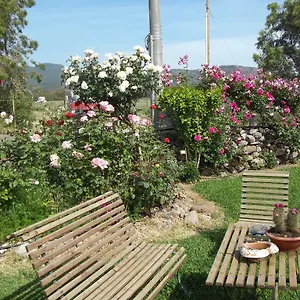 Il Vecchioliveto Di Ornella Bed and breakfast